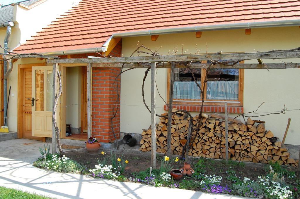 Nohab Apartman Бадачоньтёрдемиц Экстерьер фото
